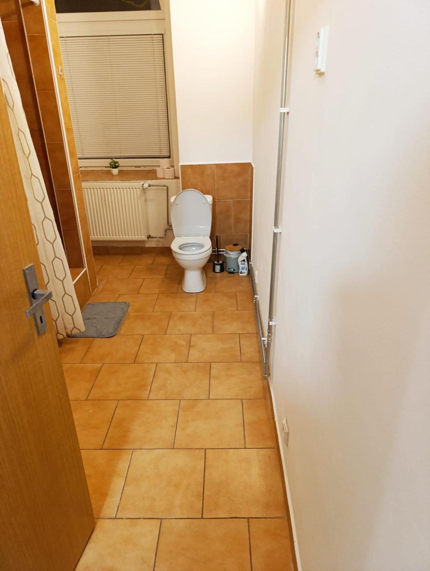 Apartment Levne
